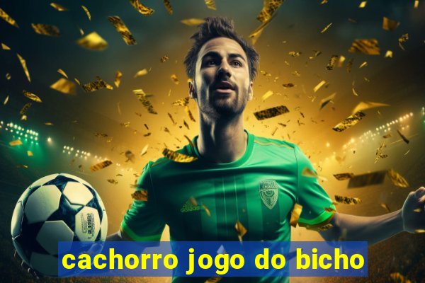 cachorro jogo do bicho